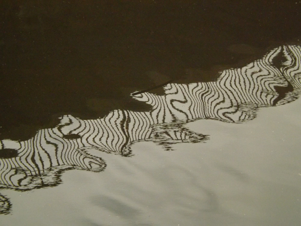 'Ripples' by Christine Middleton, Dunmow (Essex) u3a